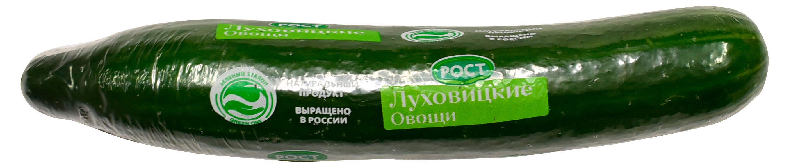 Огурец среднеплодный