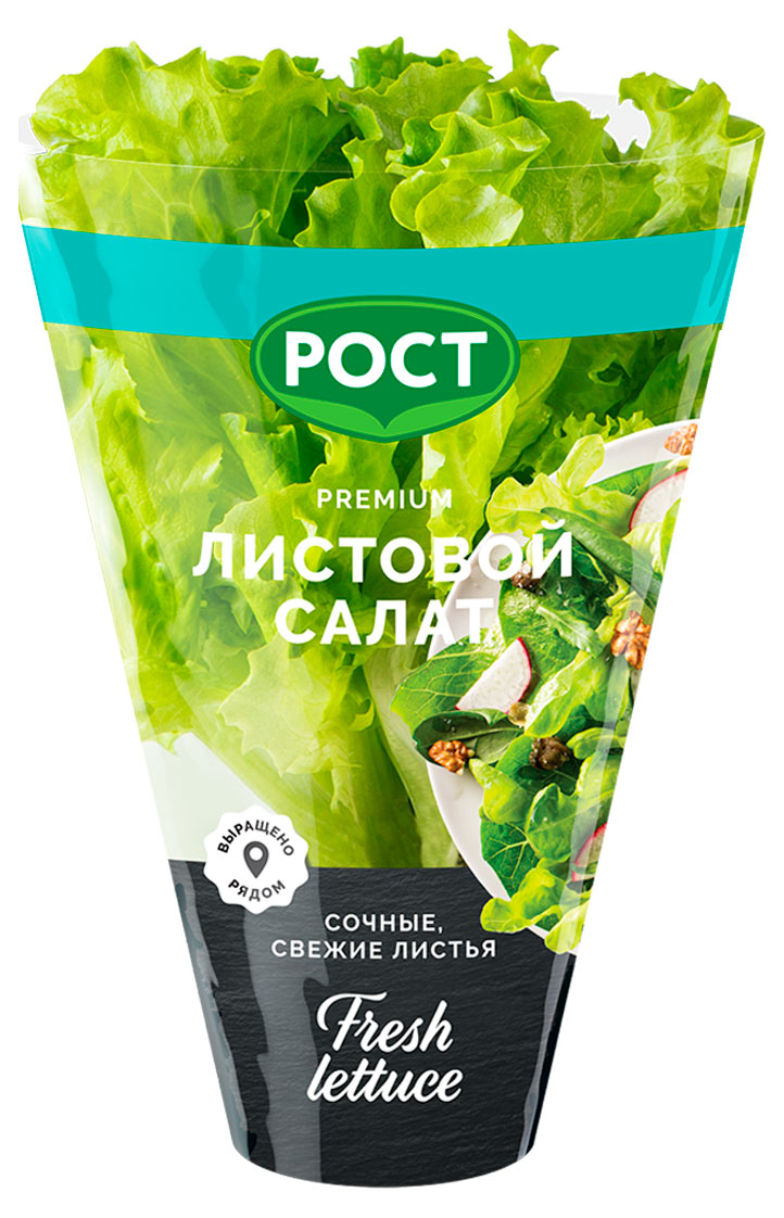 Салат Листовой в горшочке