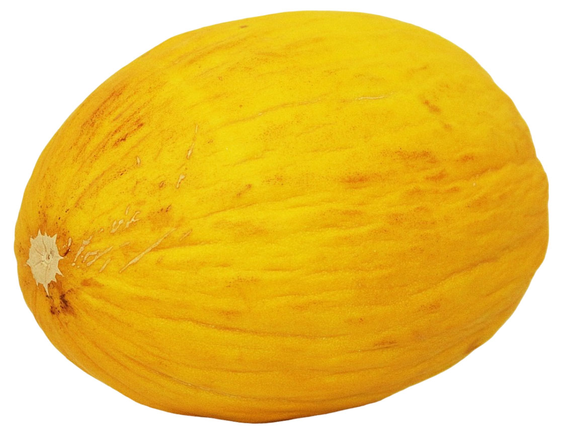 Дыня Канарская