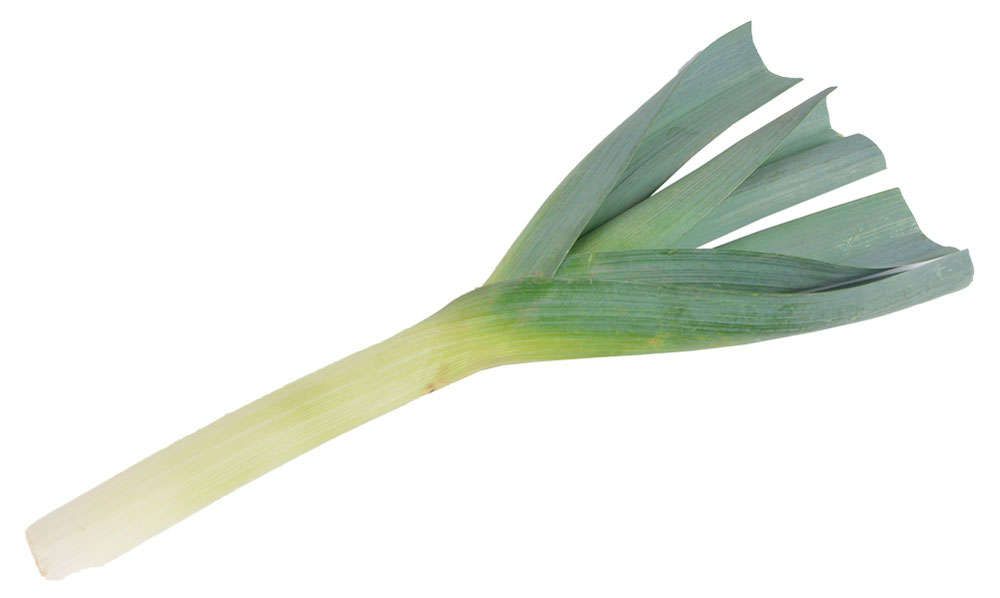 Лук Порей