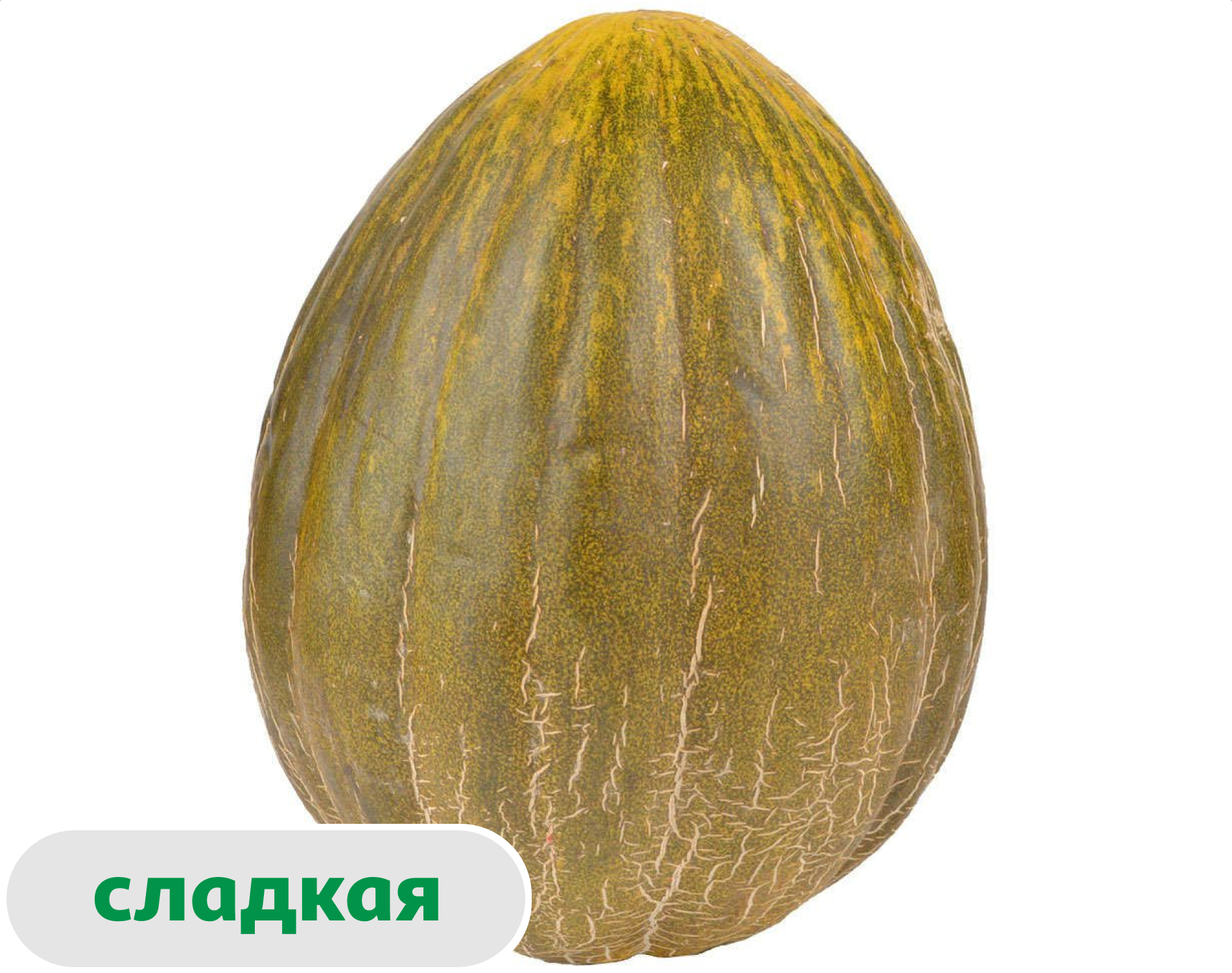 Дыня Пьель Де Сапо