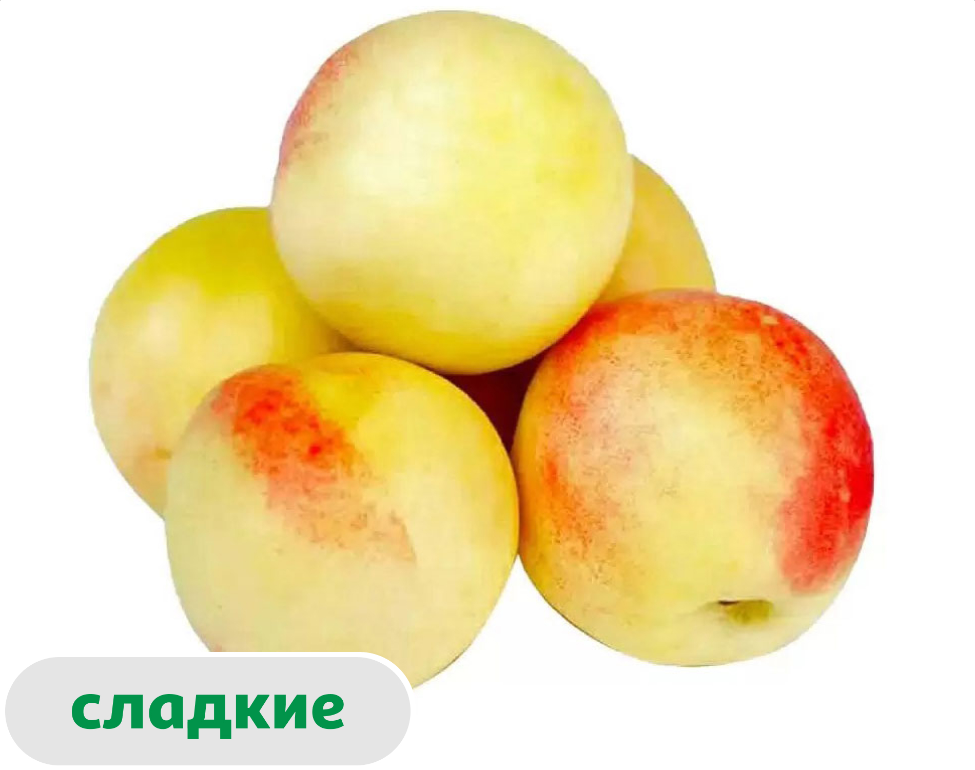 Нектарины Узбекистан