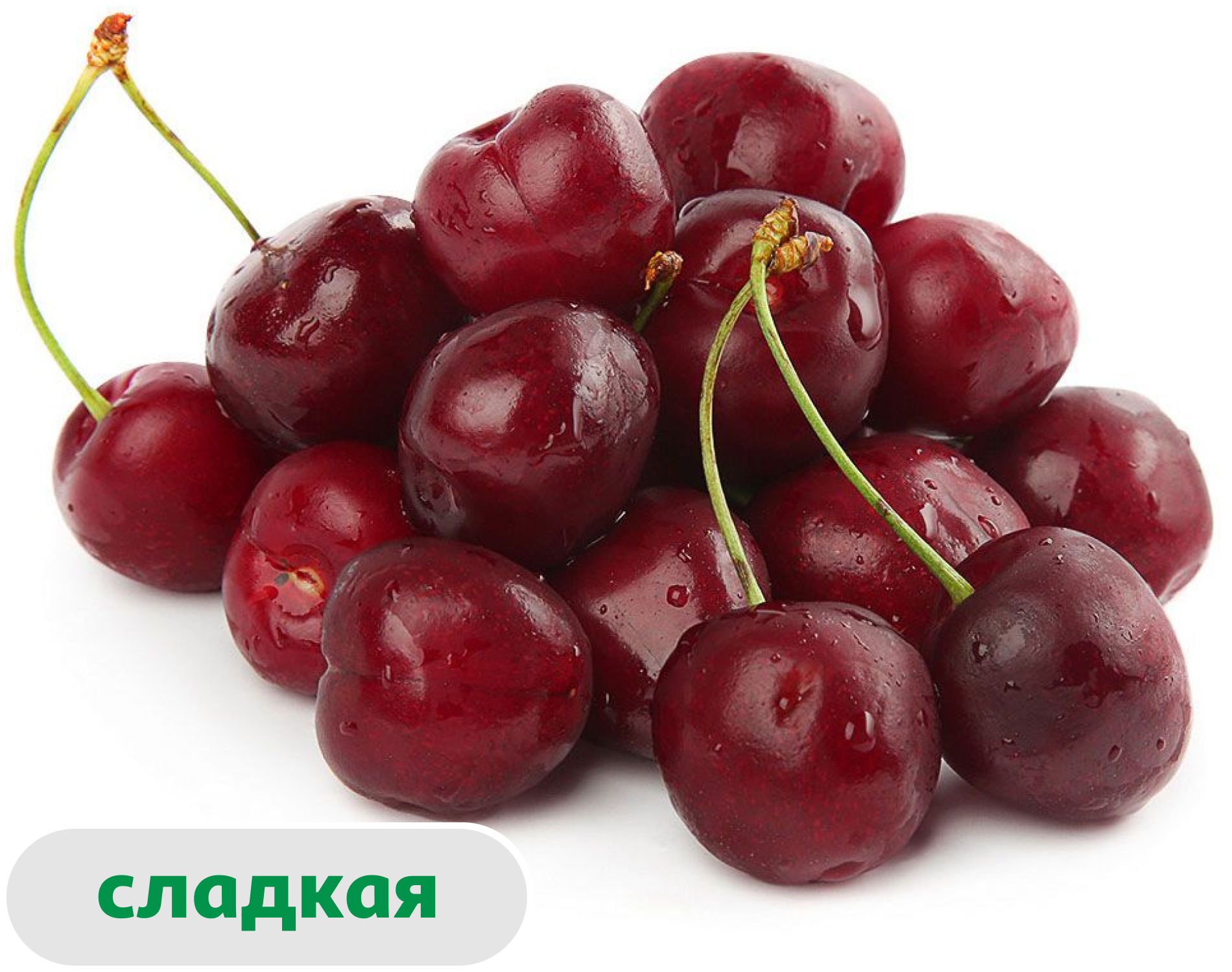 Черешня красная