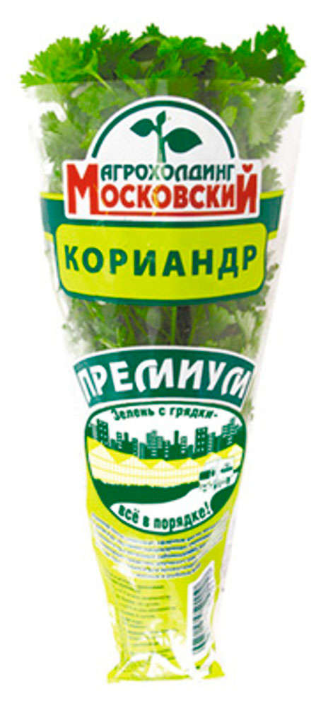 Кориандр в горшочке