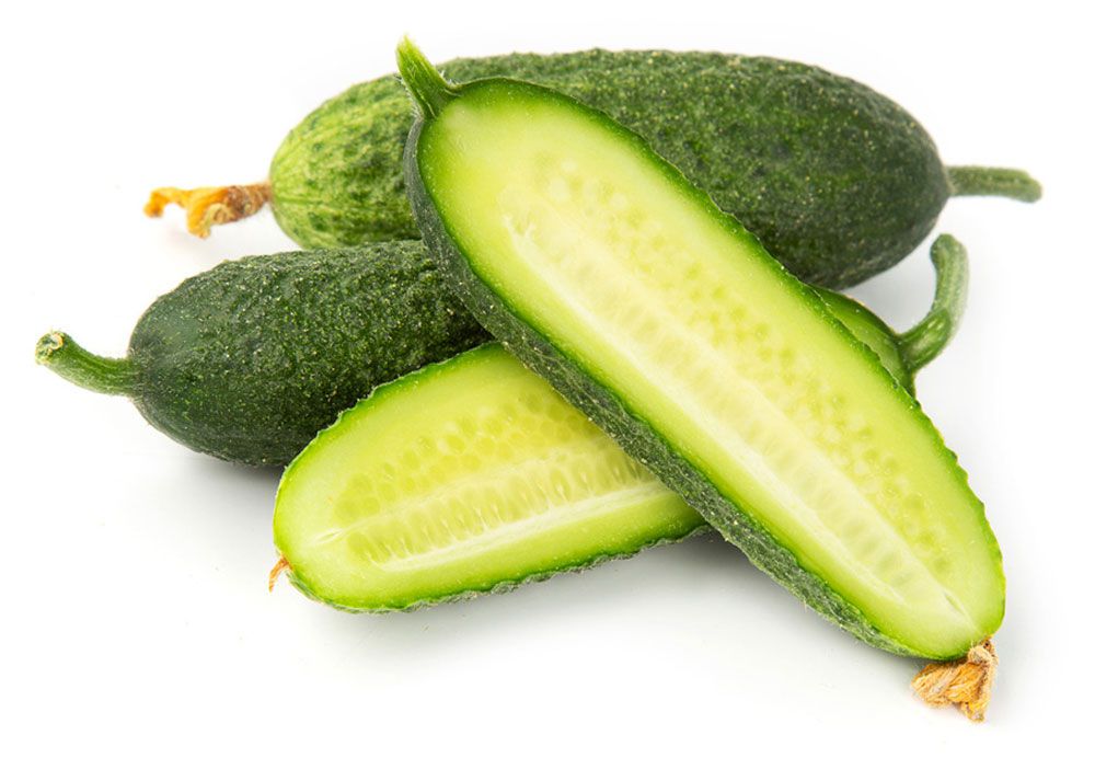 Огурцы Луховицкие