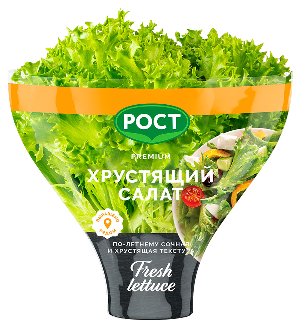 Салат Кудрявый Джаз в горшочке