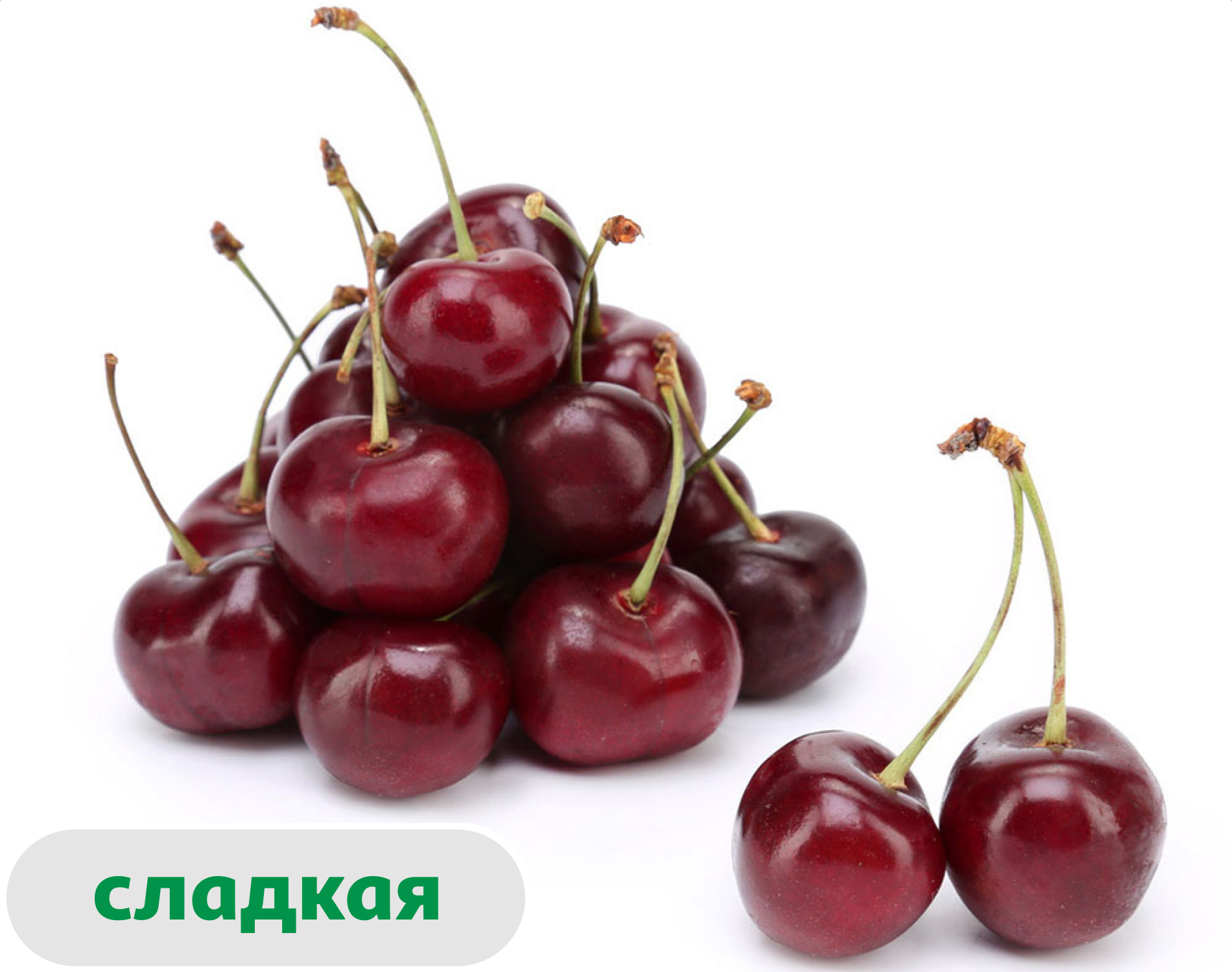 Черешня