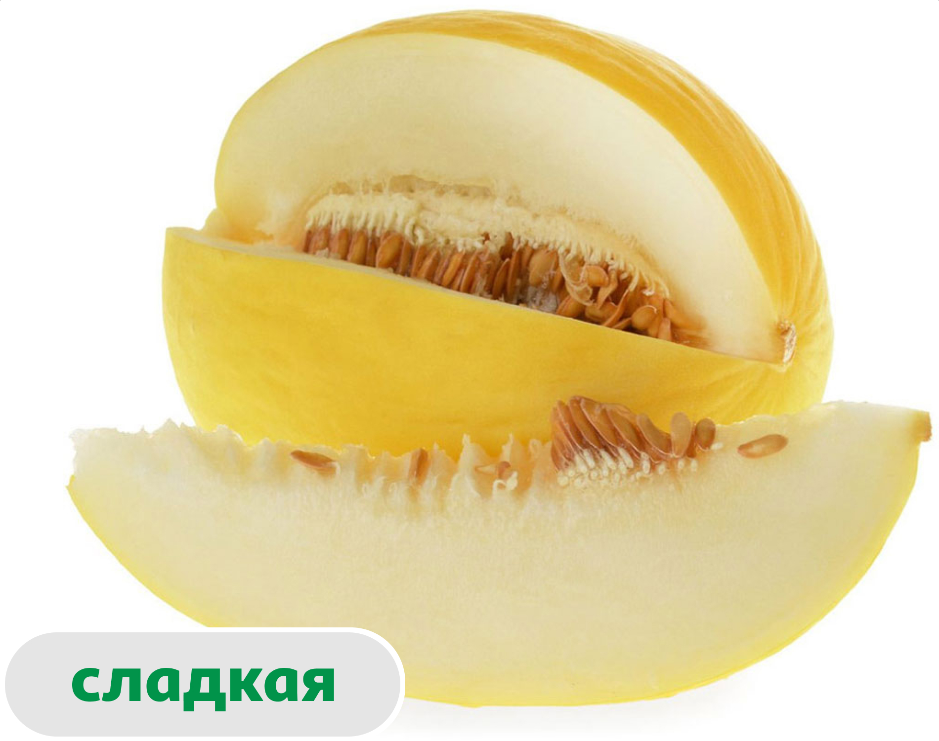 Дыня медовая
