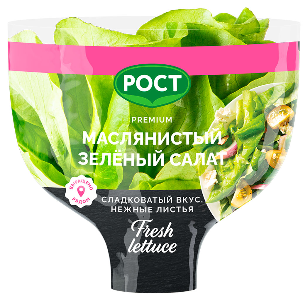 Салат маслянистый зеленый в горшочке