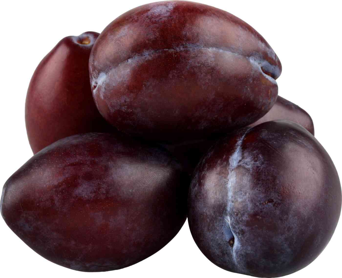 Слива сезонная