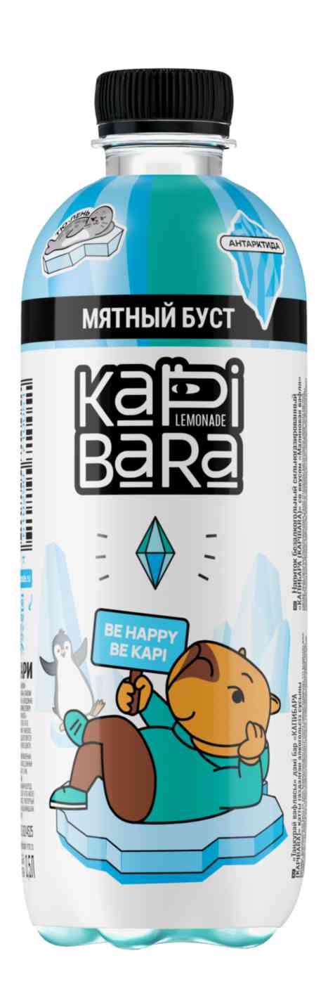 Напиток Kapibara Мятный буст